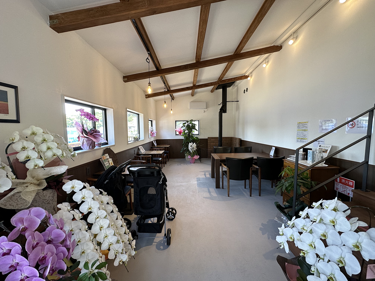 Café アニーの庭の店内写真